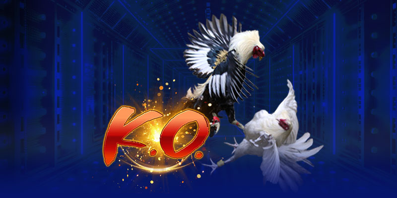 Sự ra đời và mục tiêu của Nhà Cái bet88